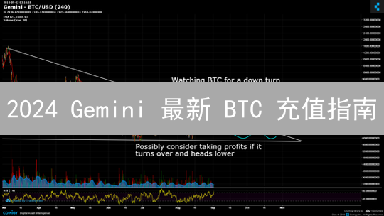 2024 Gemini 最新 BTC 充值指南：5 步安全转入比特币
