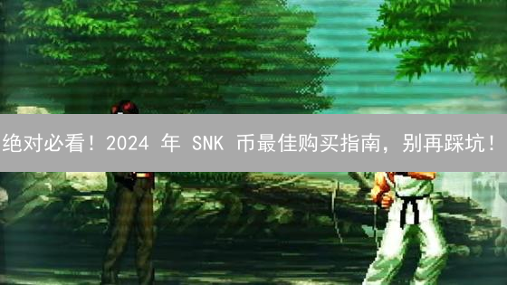 绝对必看！2024 年 SNK 币最佳购买指南，别再踩坑！