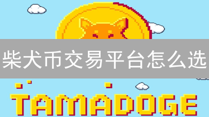 柴犬币交易平台怎么选？5个要点帮你避坑！