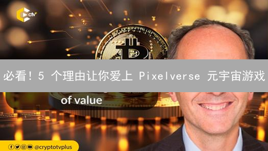 必看！5 个理由让你爱上 Pixelverse 元宇宙游戏