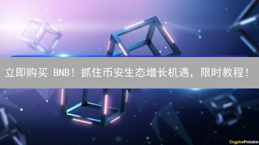立即购买 BNB！抓住币安生态增长机遇，限时教程！