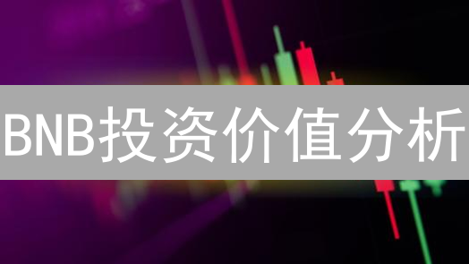 BNB投资价值分析：专家解读未来走势与潜在风险 (2024最新)
