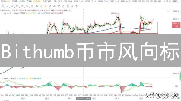 Bithumb币市风向标：韩国加密货币投资最新趋势解读与避坑指南