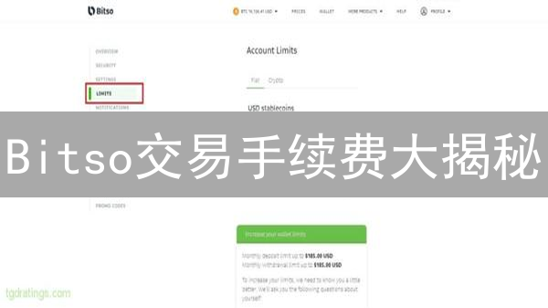 Bitso交易手续费大揭秘：如何省钱？一文读懂！
