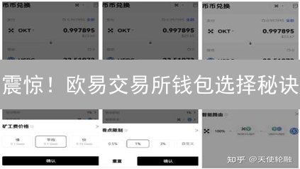 震惊！欧易交易所钱包选择秘诀：专家教你玩转DeFi！