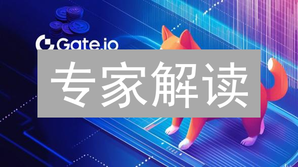 专家解读：如何在Gate.IO选择适合你的数字货币？