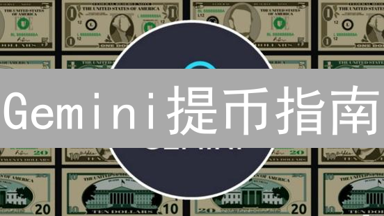 Gemini提币指南：新手也能轻松上手？专家深度解读