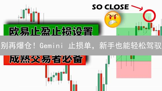 别再爆仓！Gemini 止损单，新手也能轻松驾驭？