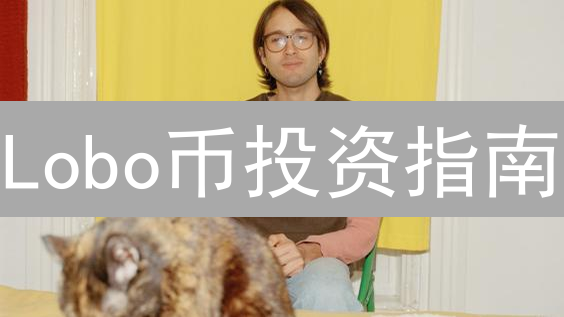 Lobo币投资指南：新手入门的7个关键问题解析