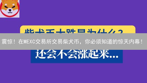 震惊！在MEXC交易所交易柴犬币，你必须知道的惊天内幕！