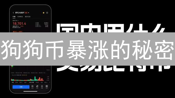 狗狗币暴涨的秘密？欧易OKX法币购买Dogecoin终极指南！