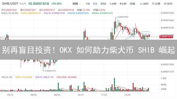 别再盲目投资！OKX 如何助力柴犬币 SHIB 崛起？