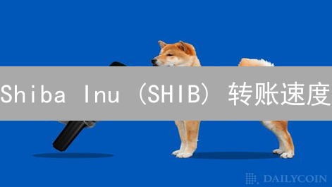Shiba Inu (SHIB) 转账速度：影响因素与 2024 年优化指南