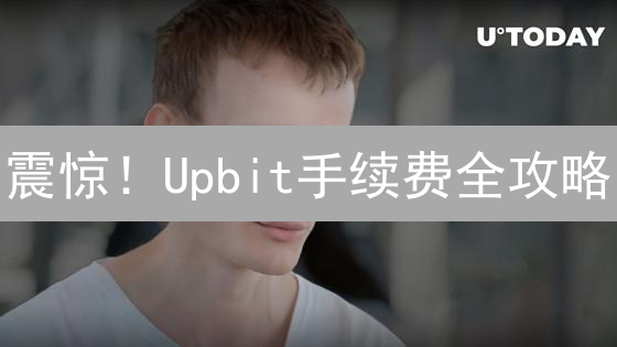 震惊！Upbit手续费全攻略：90%的人都不知道的省钱秘诀！