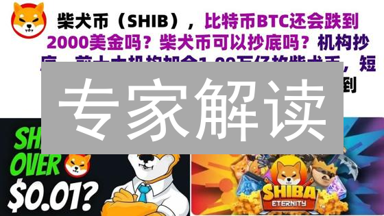 专家解读：欧易 vs 柴犬币（Shib）——5分钟看懂生态差异！